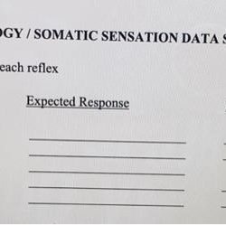 Human reflex physiology review sheet