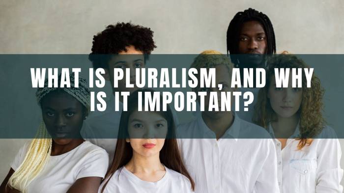 A flaw in pluralism theory is the fact that